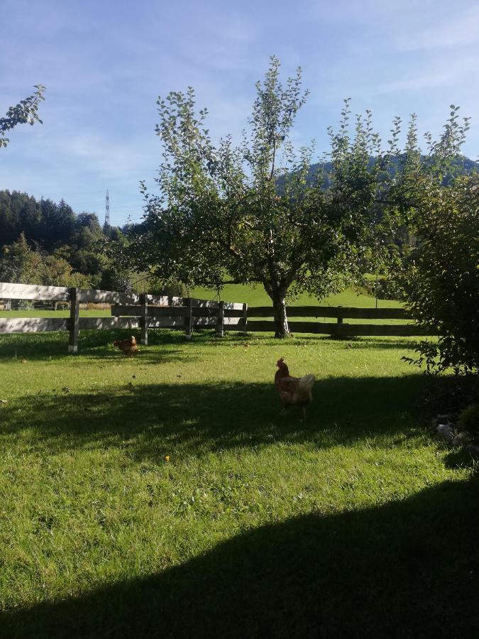 Ferienwohnung Haus Schreder Saalfelden Exterior foto