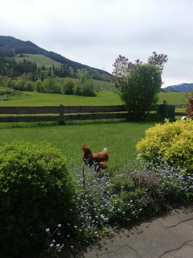 Ferienwohnung Haus Schreder Saalfelden Exterior foto