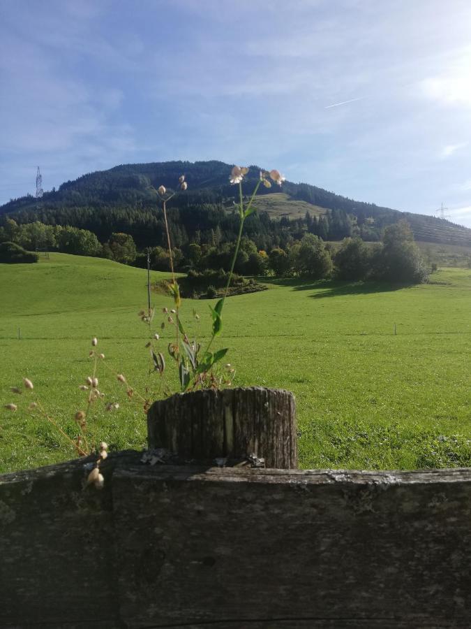 Ferienwohnung Haus Schreder Saalfelden Exterior foto